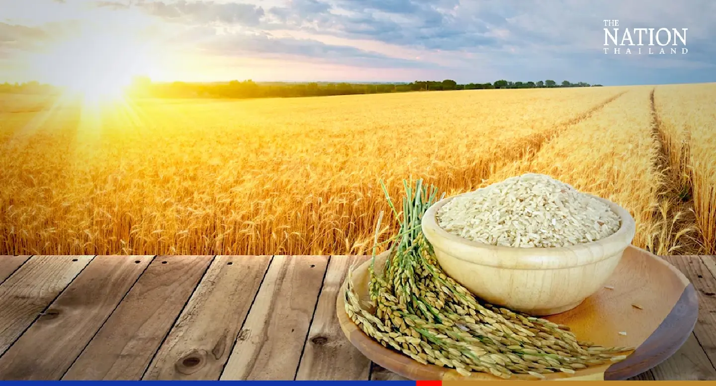 Thai rice exports rise 33%, closer to 7.5-million-tonne target for 2022 Thai rice exports rise 33%, closer to 7.5-million-tonne target for 2022