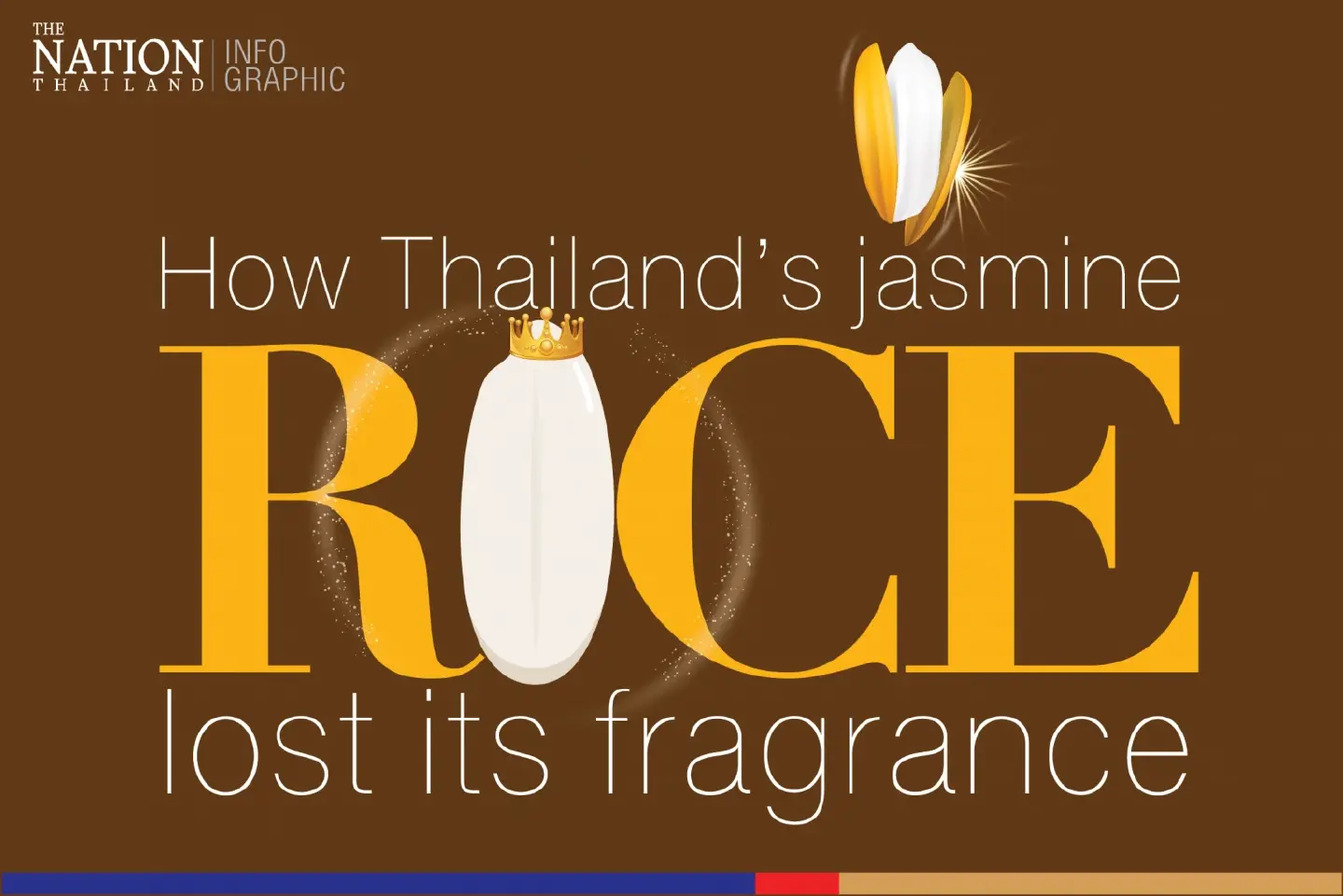 How Thailand’s jasmine rice lost its fragrance How Thailand’s jasmine rice lost its fragrance
