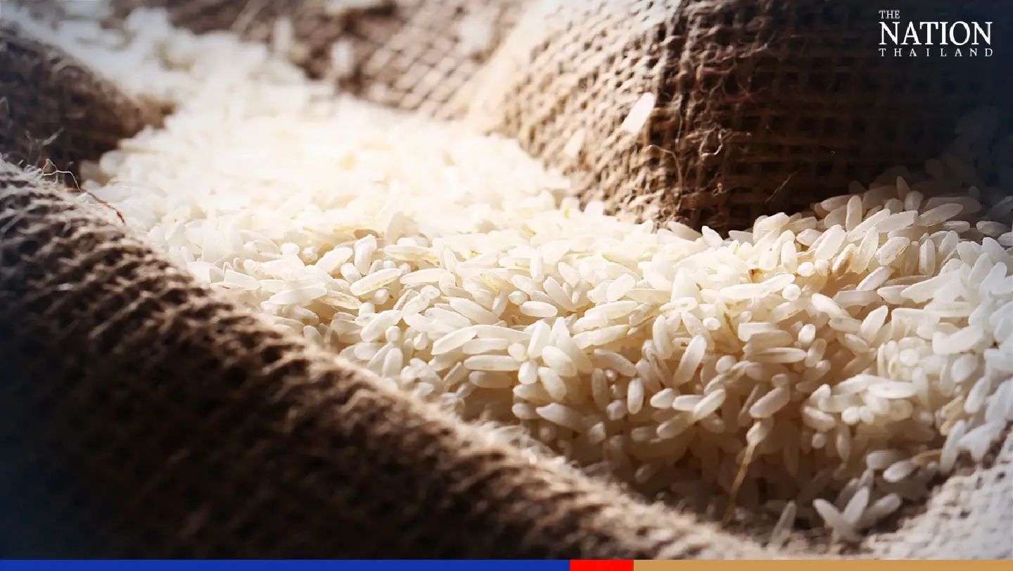 Thailand opens rice DNA testing centre after Hom Mali loses world crown