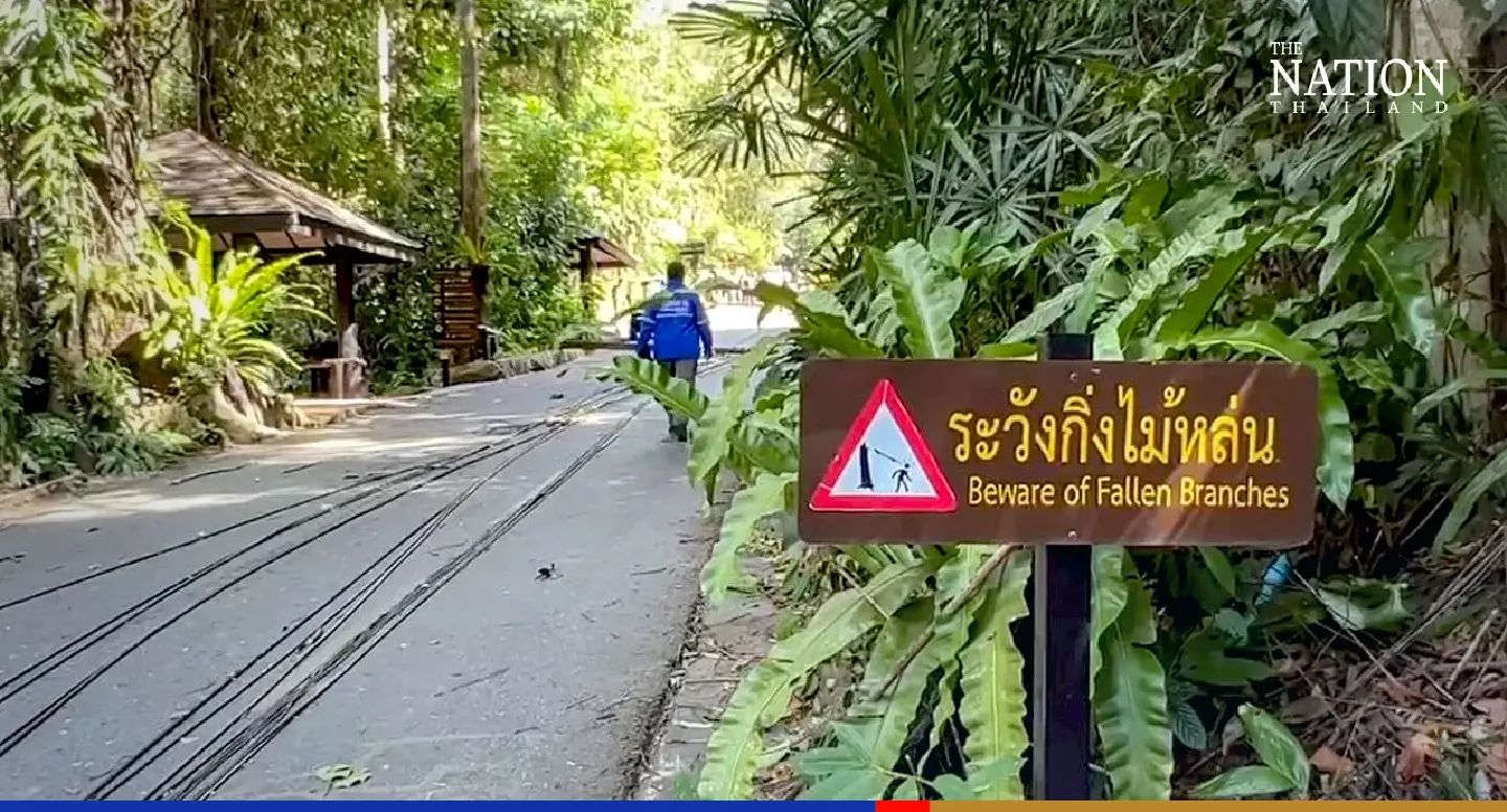 Freak of nature: Woman killed as sudden strong winds knock down power poles in Chanthaburi Freak of nature: Woman killed as sudden strong winds knock down power poles in Chanthaburi