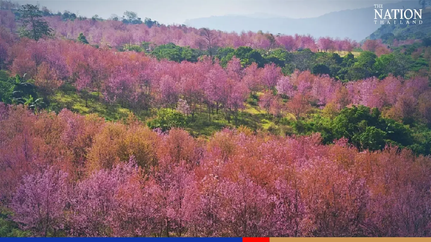 TAT’s ‘Travel Now, Free Now’ fair to offer spectacular deals next week TAT’s ‘Travel Now, Free Now’ fair to offer spectacular deals next week