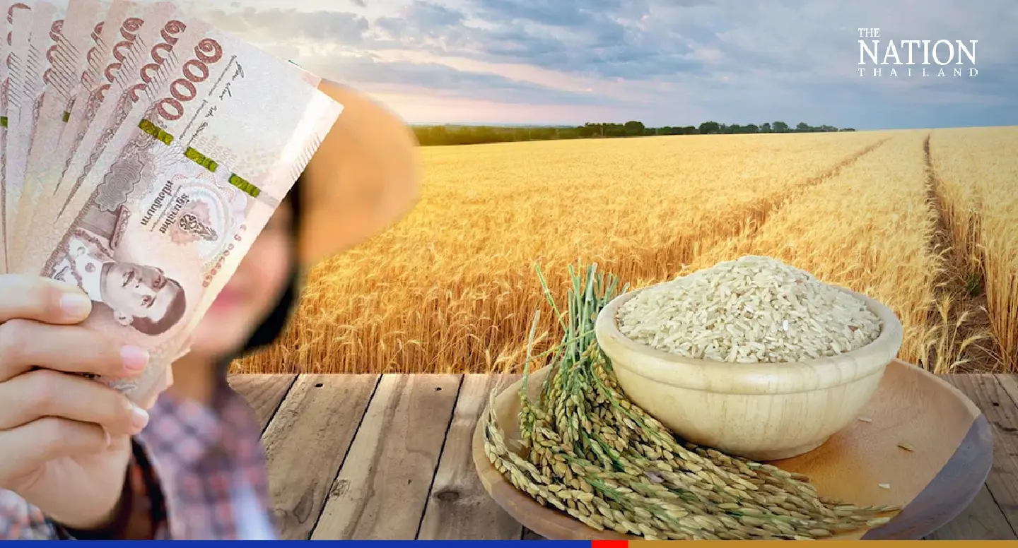Rice Department will upgrade machinery to boost seed production