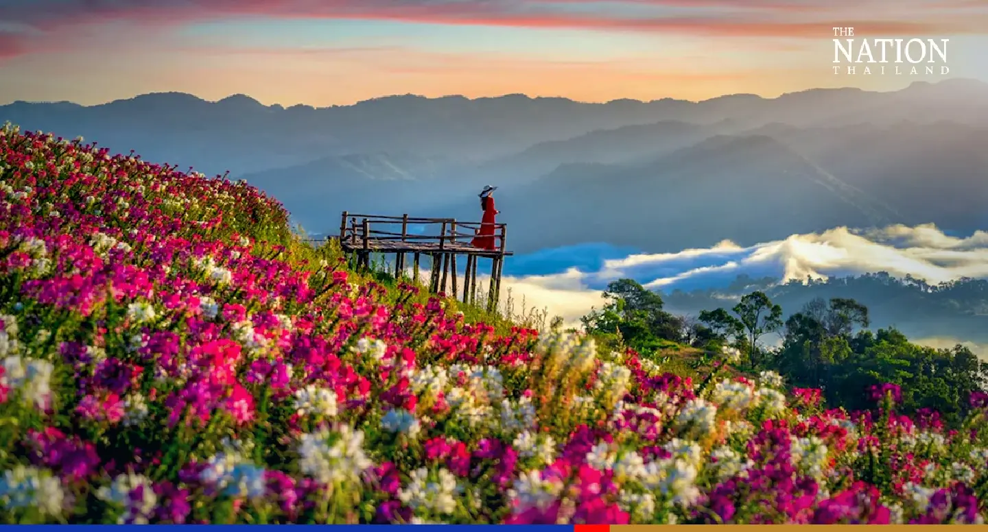 Eight ‘must-see’ flower gardens in Chiang Mai’s Mae Rim district