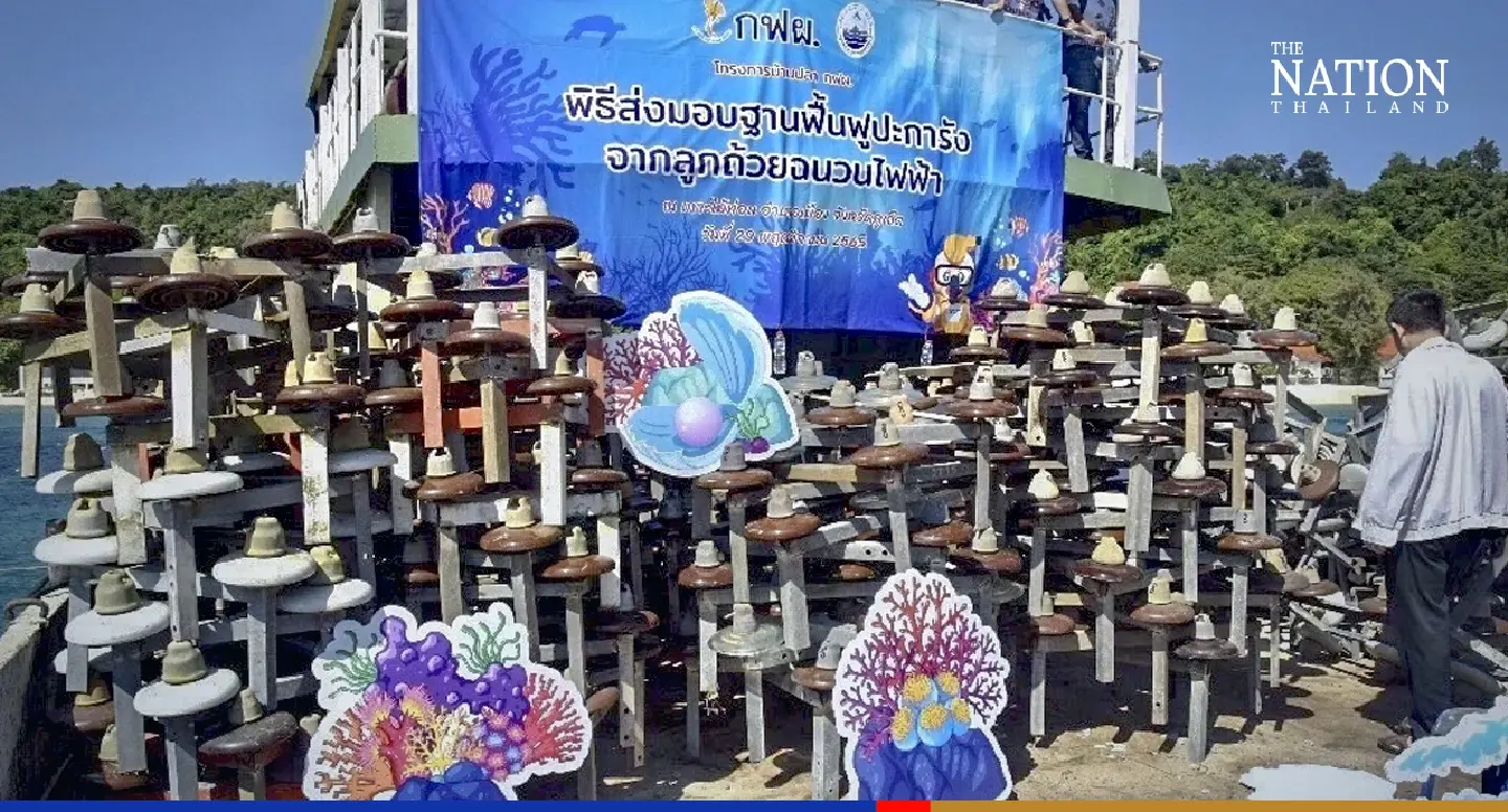 Coral gets a breather as porcelain frames help create new reefs in Thai seas Coral gets a breather as porcelain frames help create new reefs in Thai seas