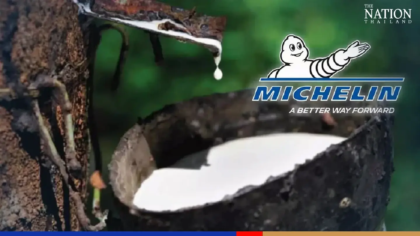 Thai rubber industry has 2 years to meet international standards