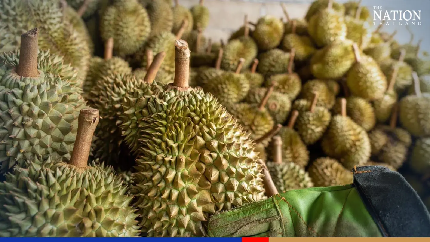 90% of durians imported by China come from Thailand: Agriculture Dept
