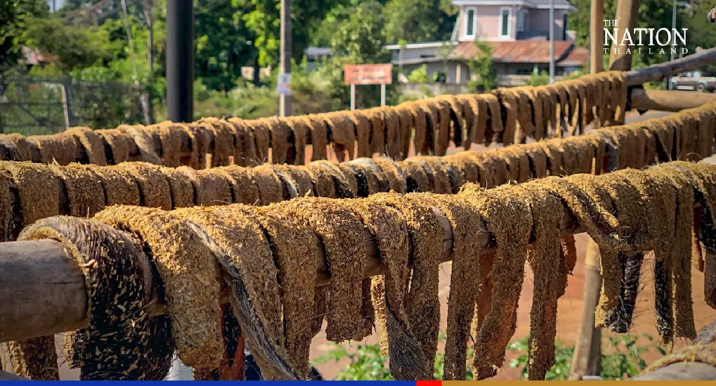 Cool season gives reprieve to buffalo-skin chefs in the Northeast Cool season gives reprieve to buffalo-skin chefs in the Northeast