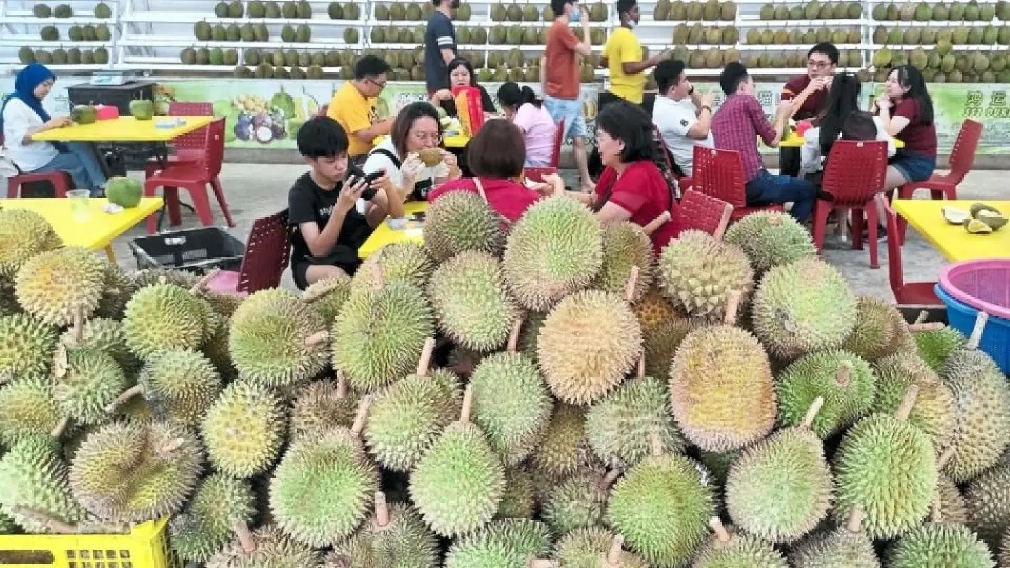 Premium Malaysian durians going for a steal Premium Malaysian durians going for a steal