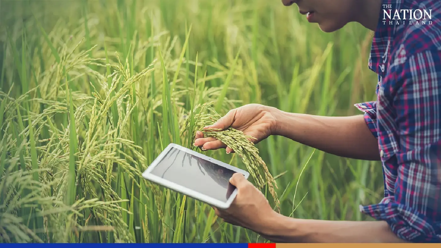 New, expanded markets may see Thai rice exports cross 2022 target New, expanded markets may see Thai rice exports cross 2022 target