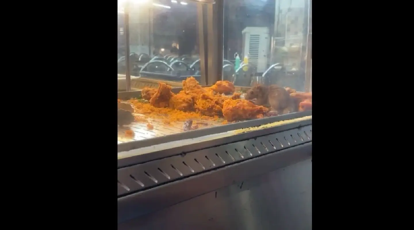 KL restaurant shut for 14 days after video of rat nibbling on foods goes viral
