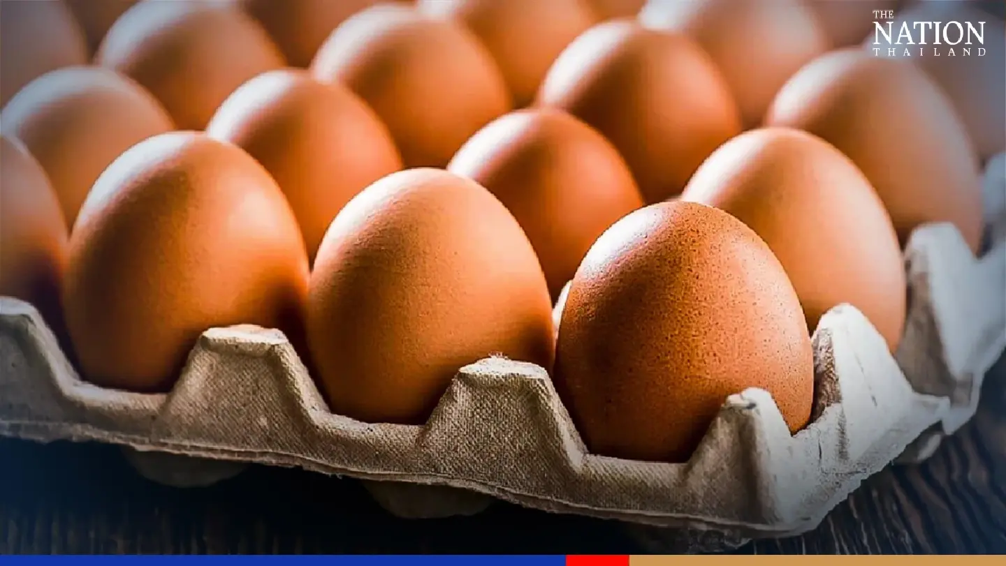 Sunny outlook for Thai farmers as Malaysia runs short on eggs