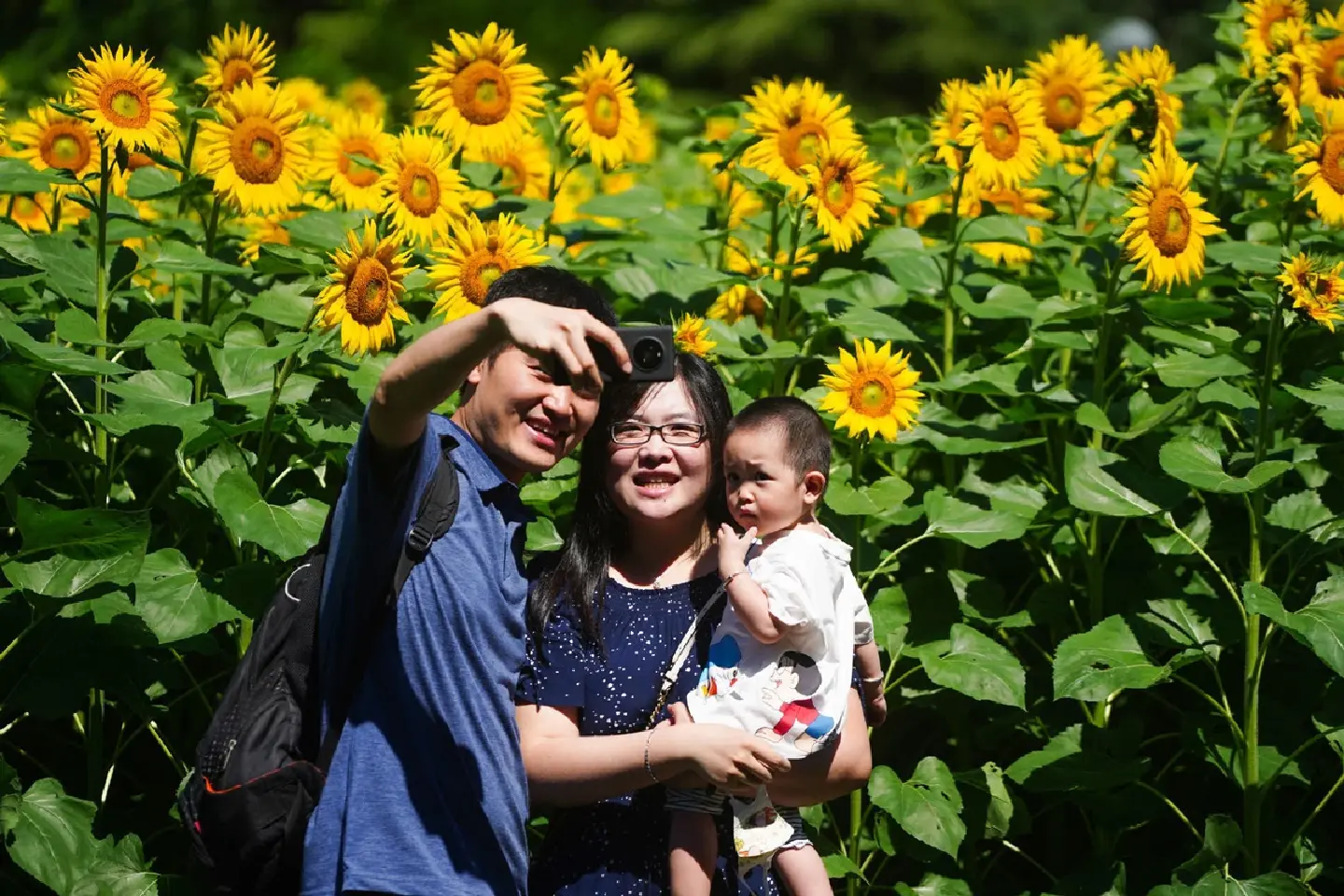 Chinese researchers develop new method to preserve female fertility Chinese researchers develop new method to preserve female fertility