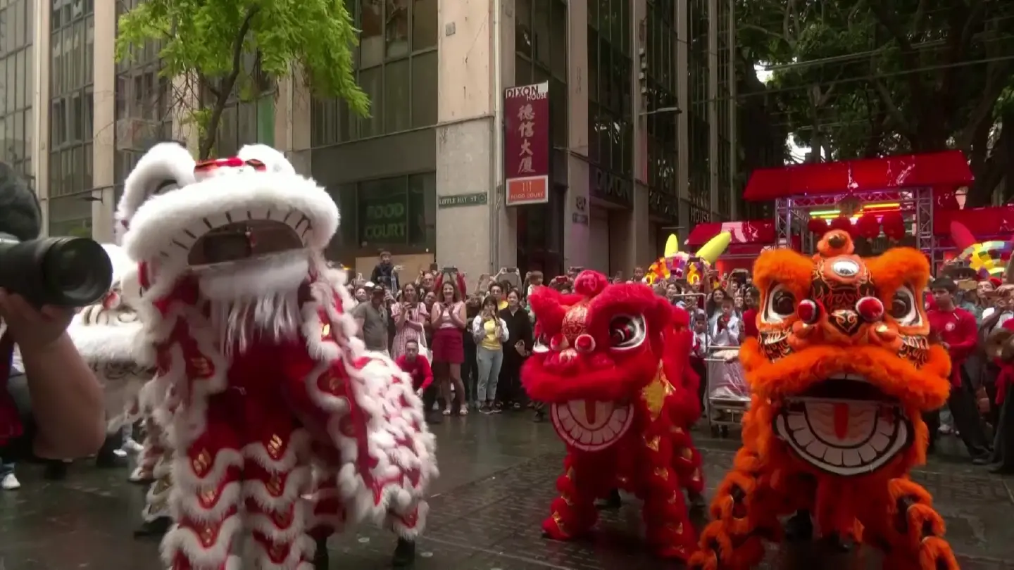 Sydney's Chinatown hops back into business for Year of the Rabbit Sydney's Chinatown hops back into business for Year of the Rabbit