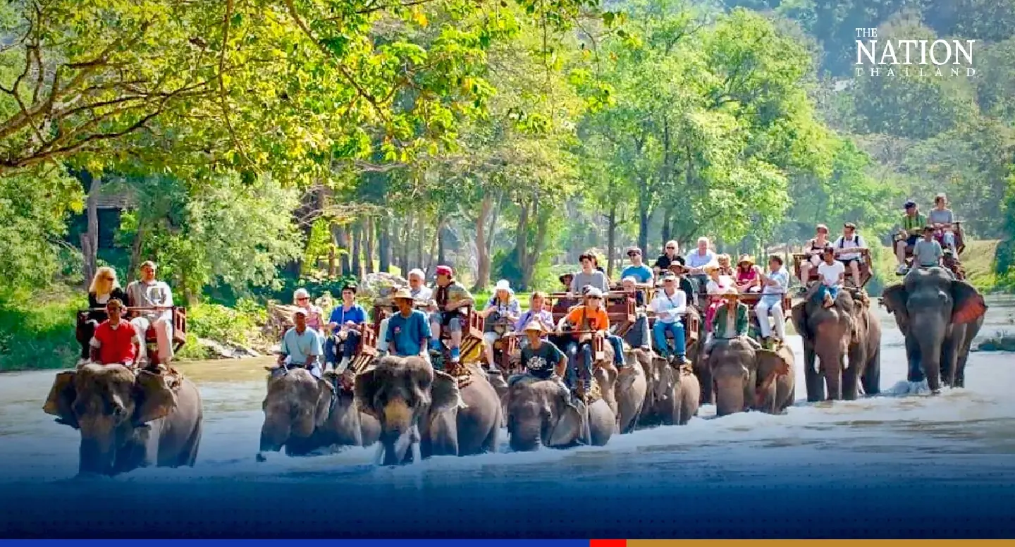 Chiang Mai elephant camp eagerly awaits return of Chinese tourists
