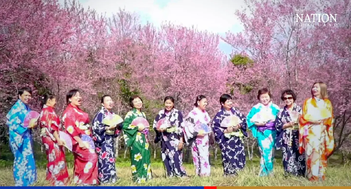 Clad in kimonos, Thai women savour the Japan experience among Loei’s ‘Thai Sakura’ trees Clad in kimonos, Thai women savour the Japan experience among Loei’s ‘Thai Sakura’ trees