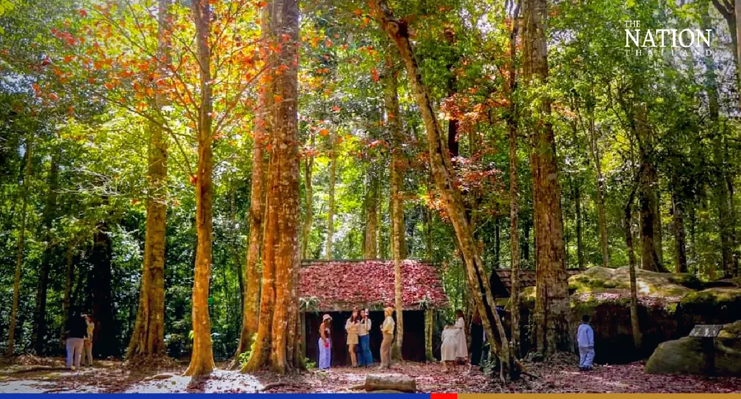 Phitsanulok national park turns an autumnal beauty, but only for this week