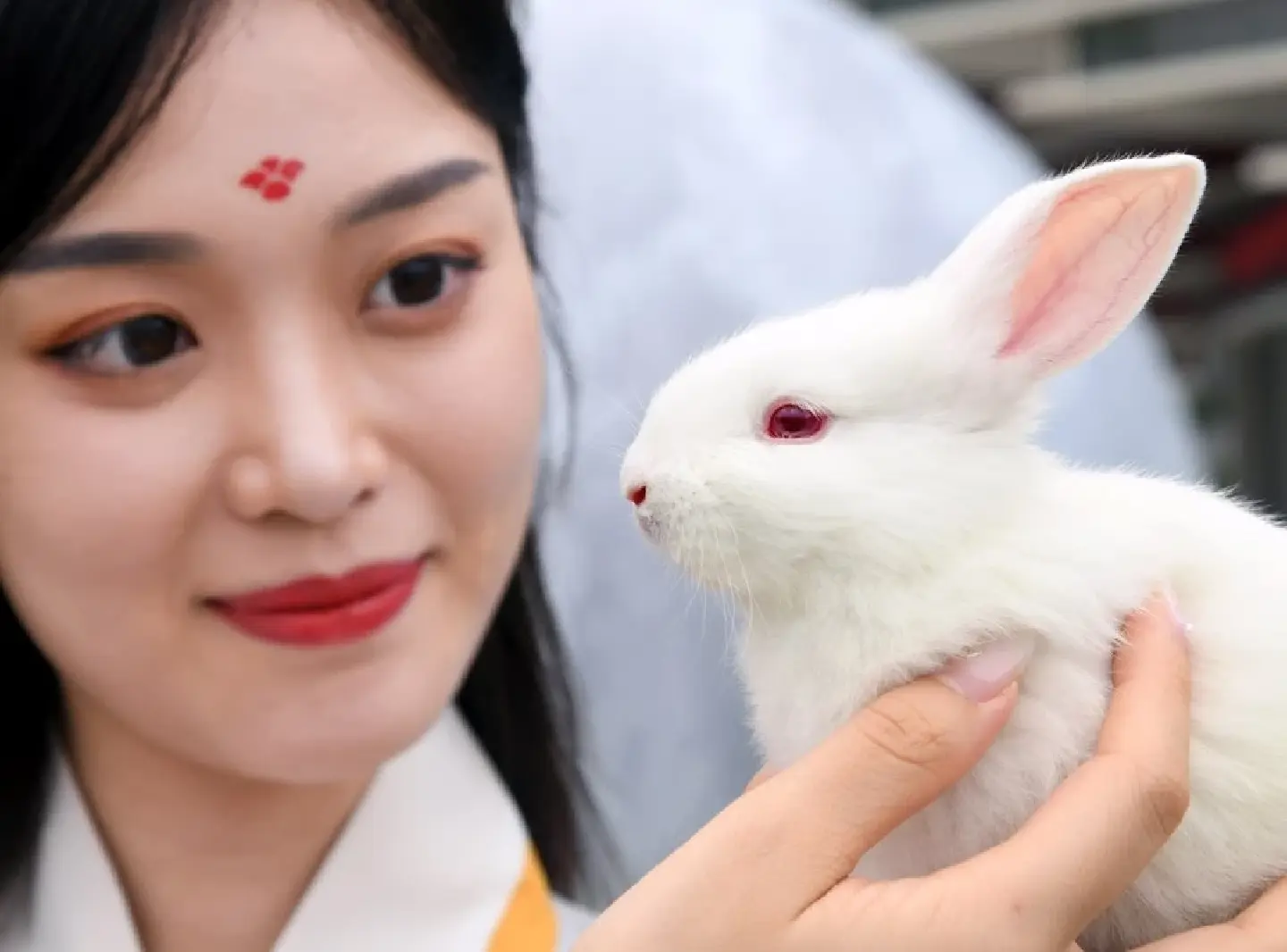 Year of the Rabbit: Three faces of the Chinese rabbit you may not know Year of the Rabbit: Three faces of the Chinese rabbit you may not know