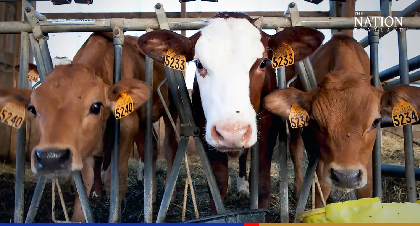 Democrat credits party's ministers for allocating funds to livestock farmers in deep South