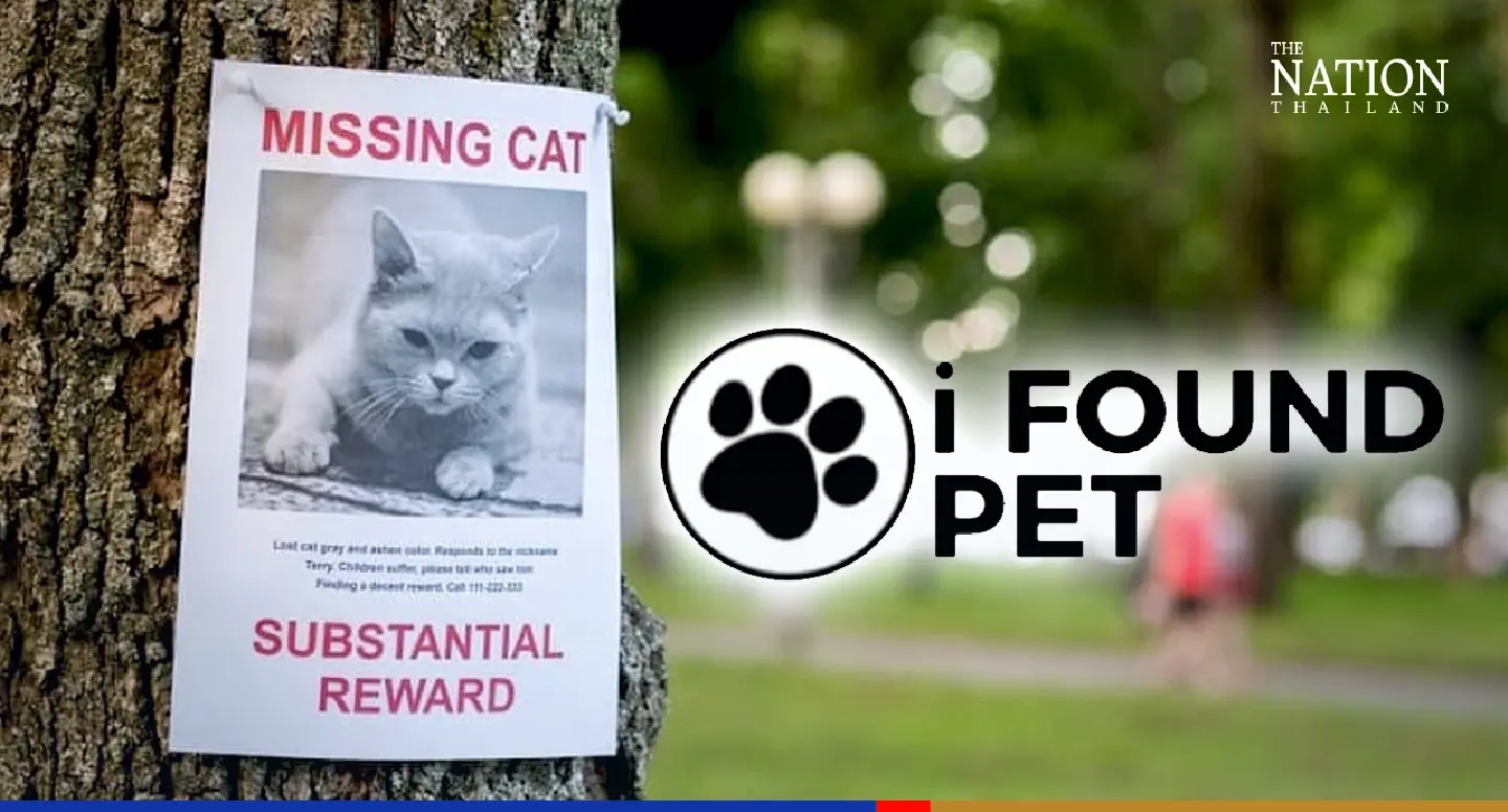 Online platform helps owners find their missing pets Online platform helps owners find their missing pets