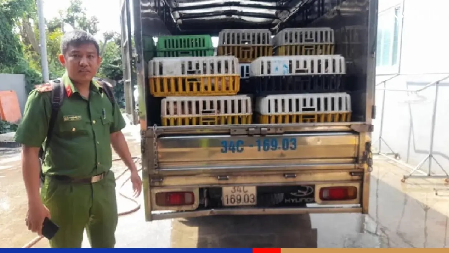 Four tonnes of meat, 480 live cats seized at illegal slaughterhouse in Vietnam