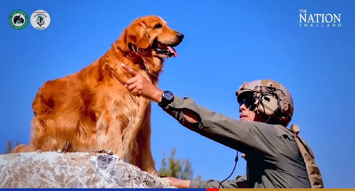 Meet Sierra and Sahara – Thailand’s search-and-rescue stars in Turkey Meet Sierra and Sahara – Thailand’s search-and-rescue stars in Turkey