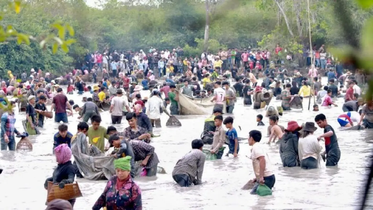 Huge crowd gathers for fish ceremony in Cambodia