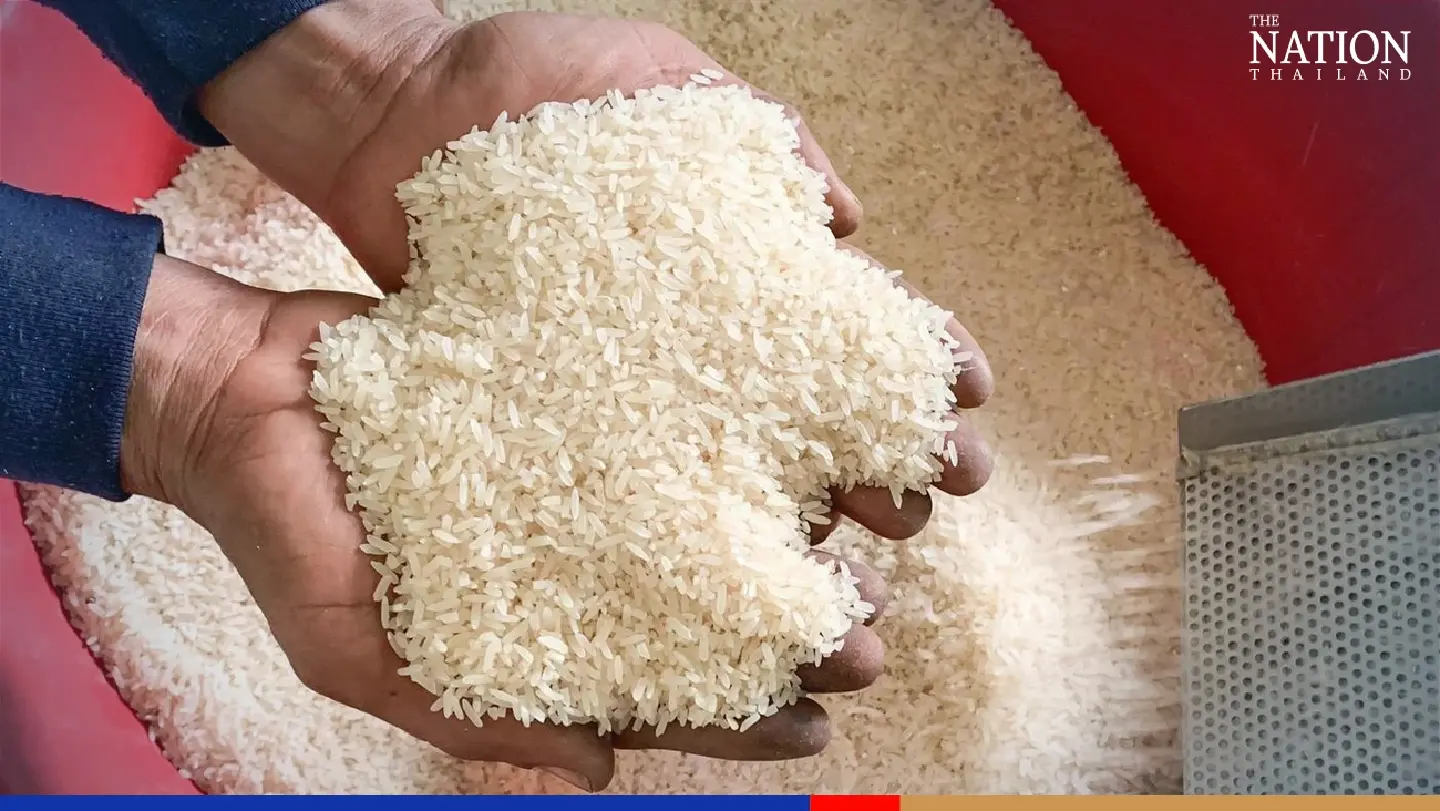 Weakening baht helps bolster Thailand’s rice exports