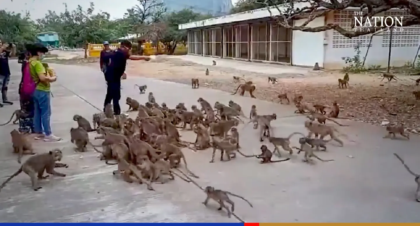 Nakhon Sawan police arrive just in time to foil ‘monkey business’, arrest 2