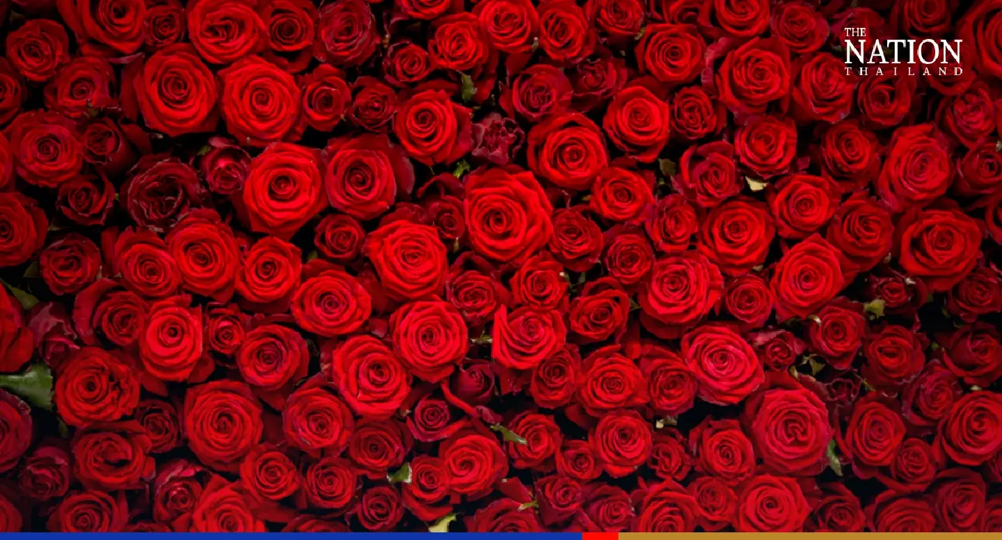Rose farmers get Valentine’s Day gift – pre-Covid prices Rose farmers get Valentine’s Day gift – pre-Covid prices
