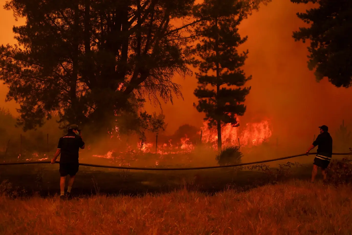At least 24 dead in Chile as wildfires expand At least 24 dead in Chile as wildfires expand