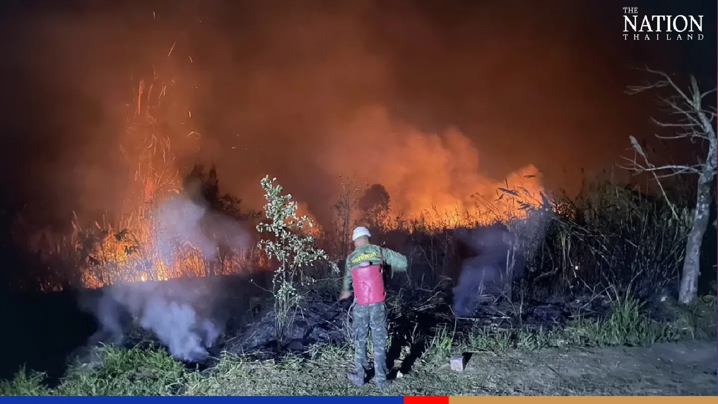 Thai and Myanmar soldiers together battle forest fire near border