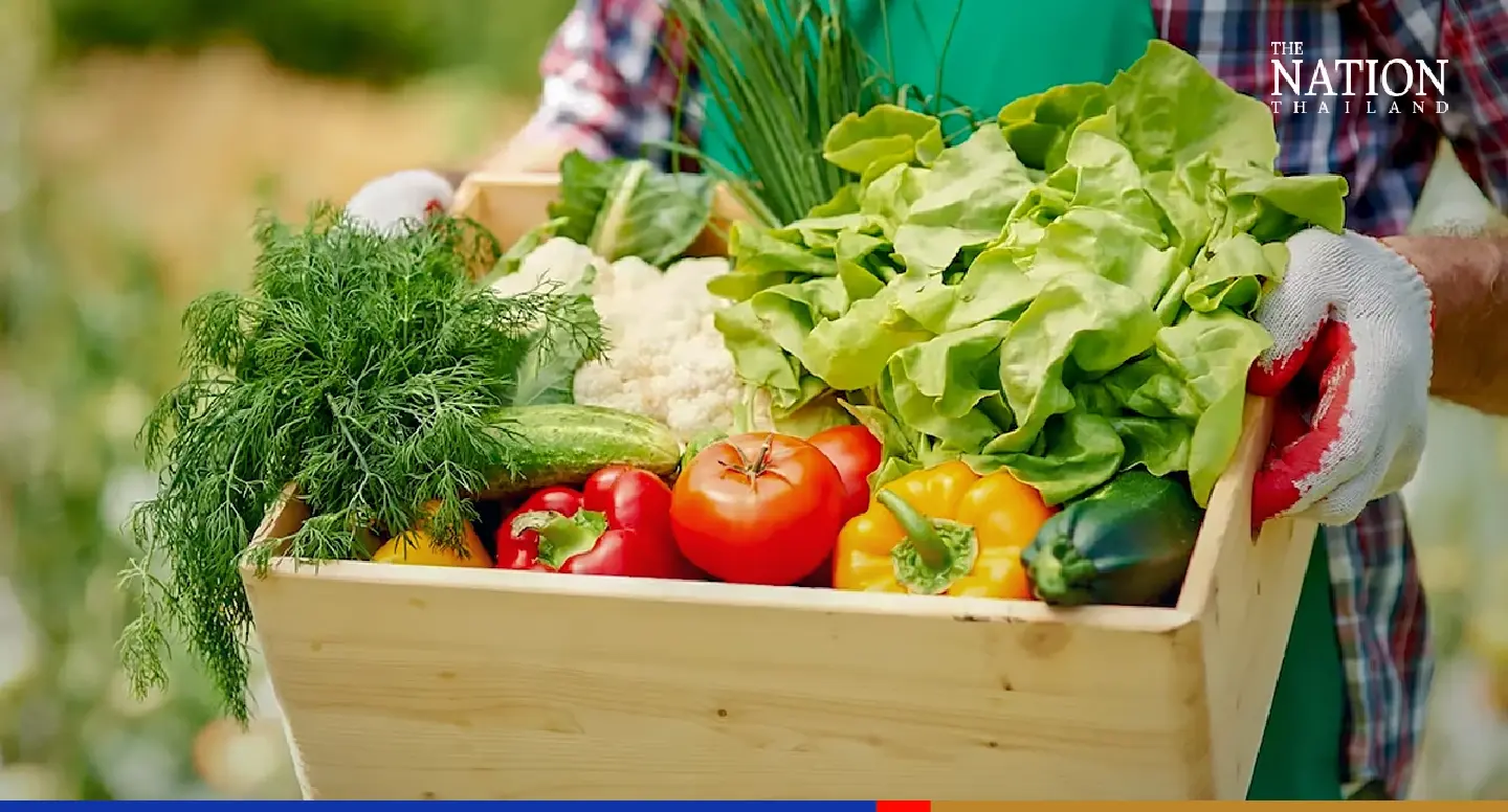 Current supply of Chinese veggies in Thai markets 'no threat to local produce'