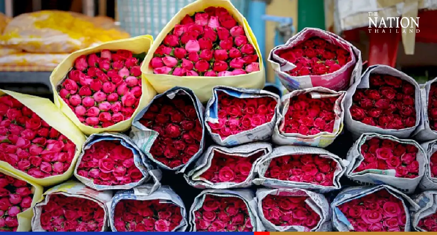 Rose price pain for lovers on Valentine’s Day due to lower supply this year