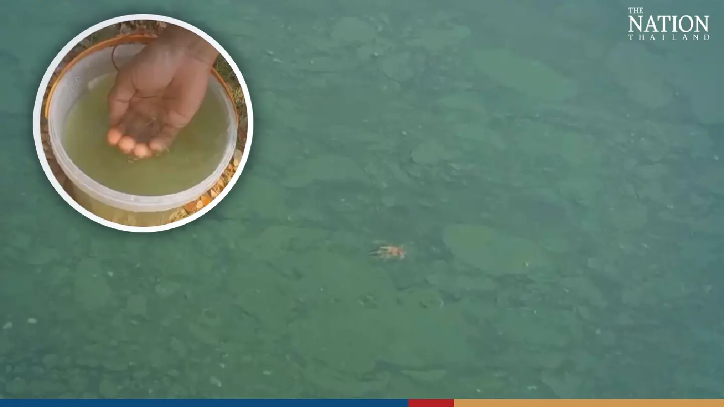 River’s shocking colour change sparks worries of ecological distress