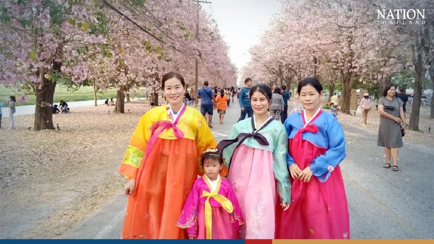 Pink Trumpet trees draw crowds to festival in Nakhon Pathom province