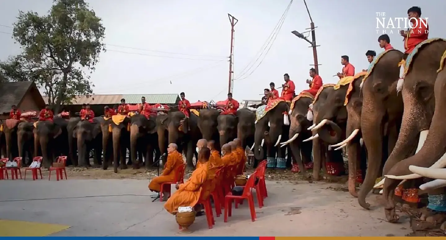 Jumbo banquet served up in Ayutthaya camp to mark National Elephant Day