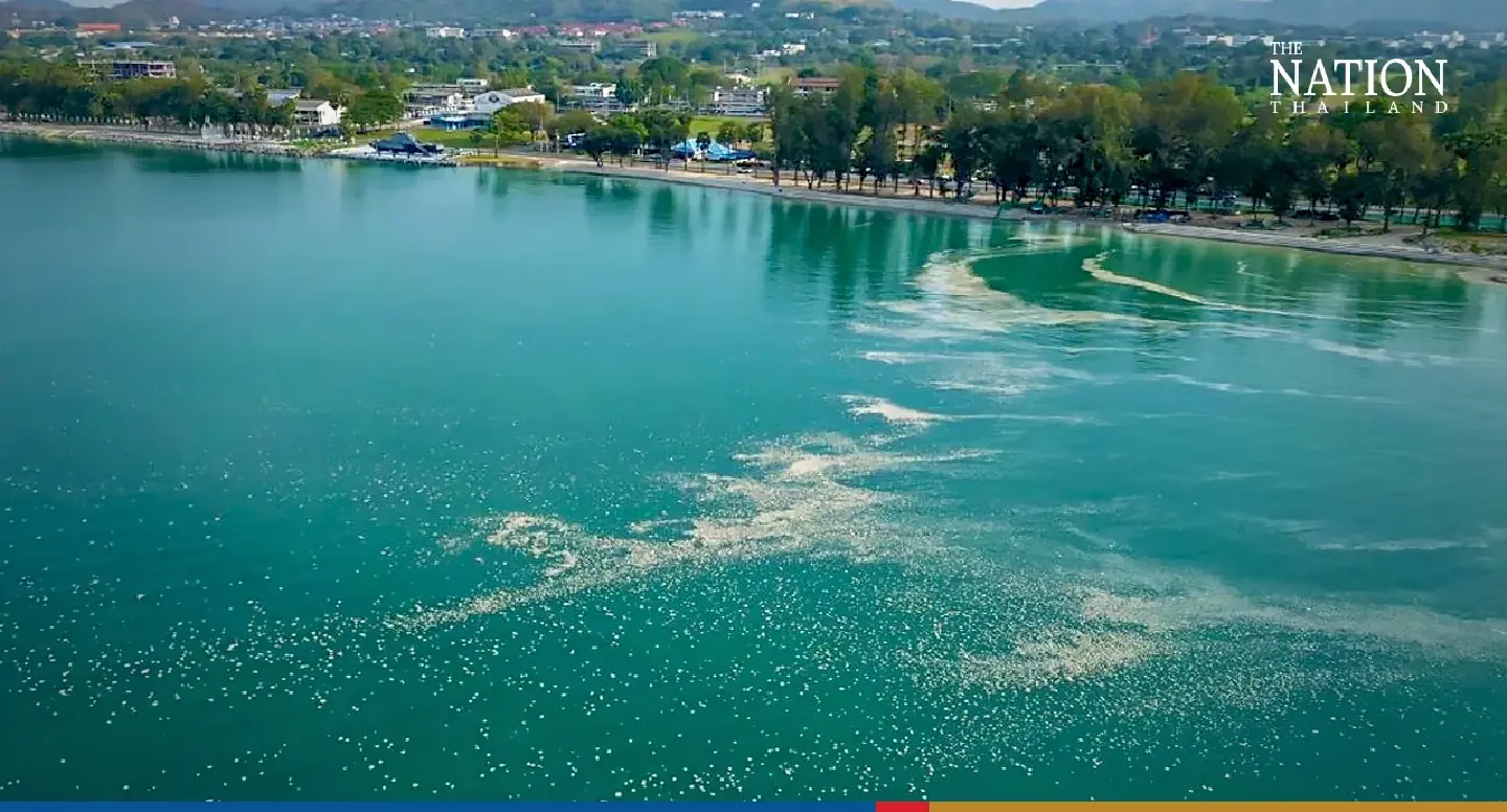 Onlookers dazzled by floating sands on sea off Sattahip Onlookers dazzled by floating sands on sea off Sattahip