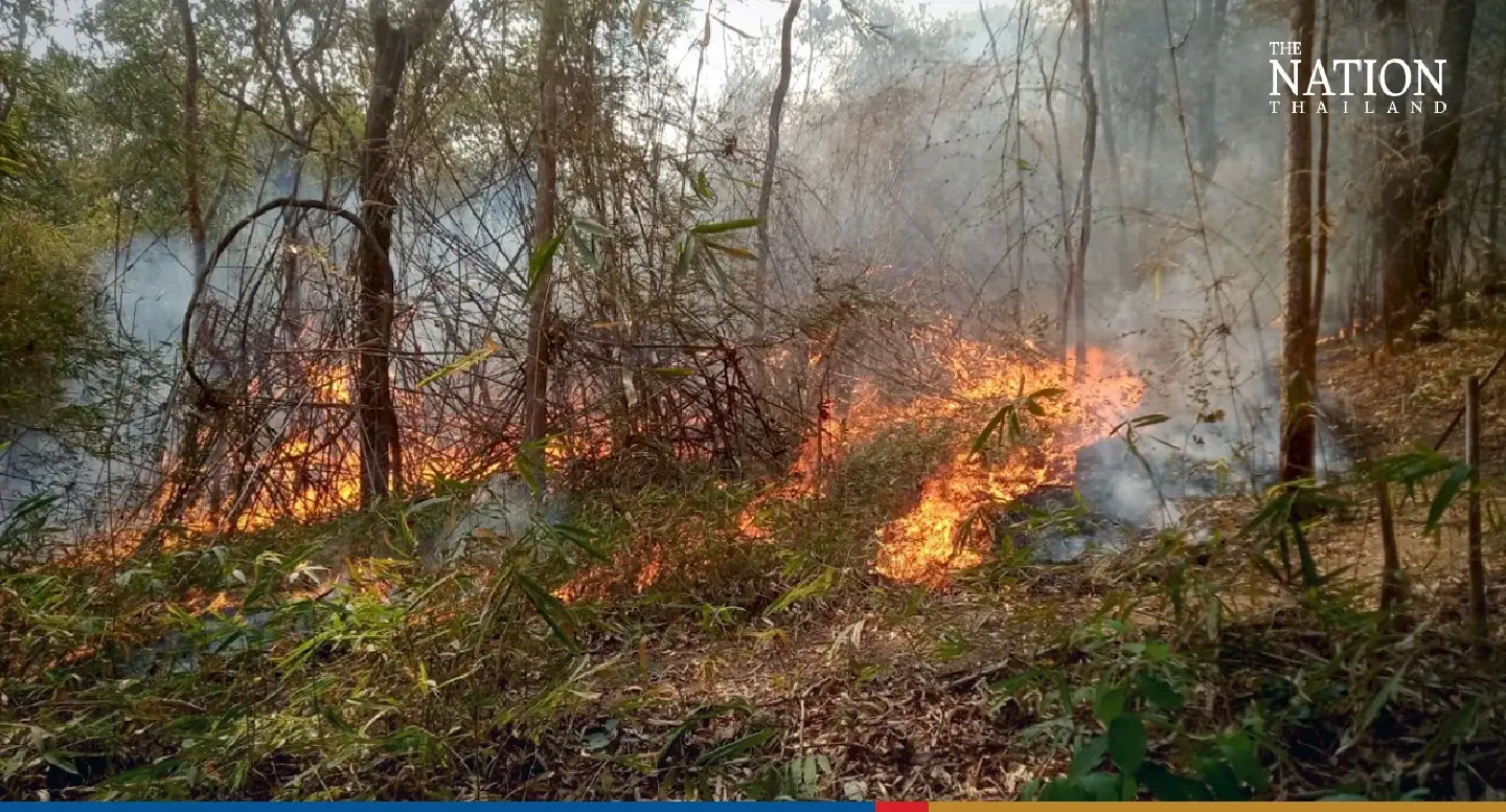 Loei’s Phu Kradueng National Park closed over fears of fire