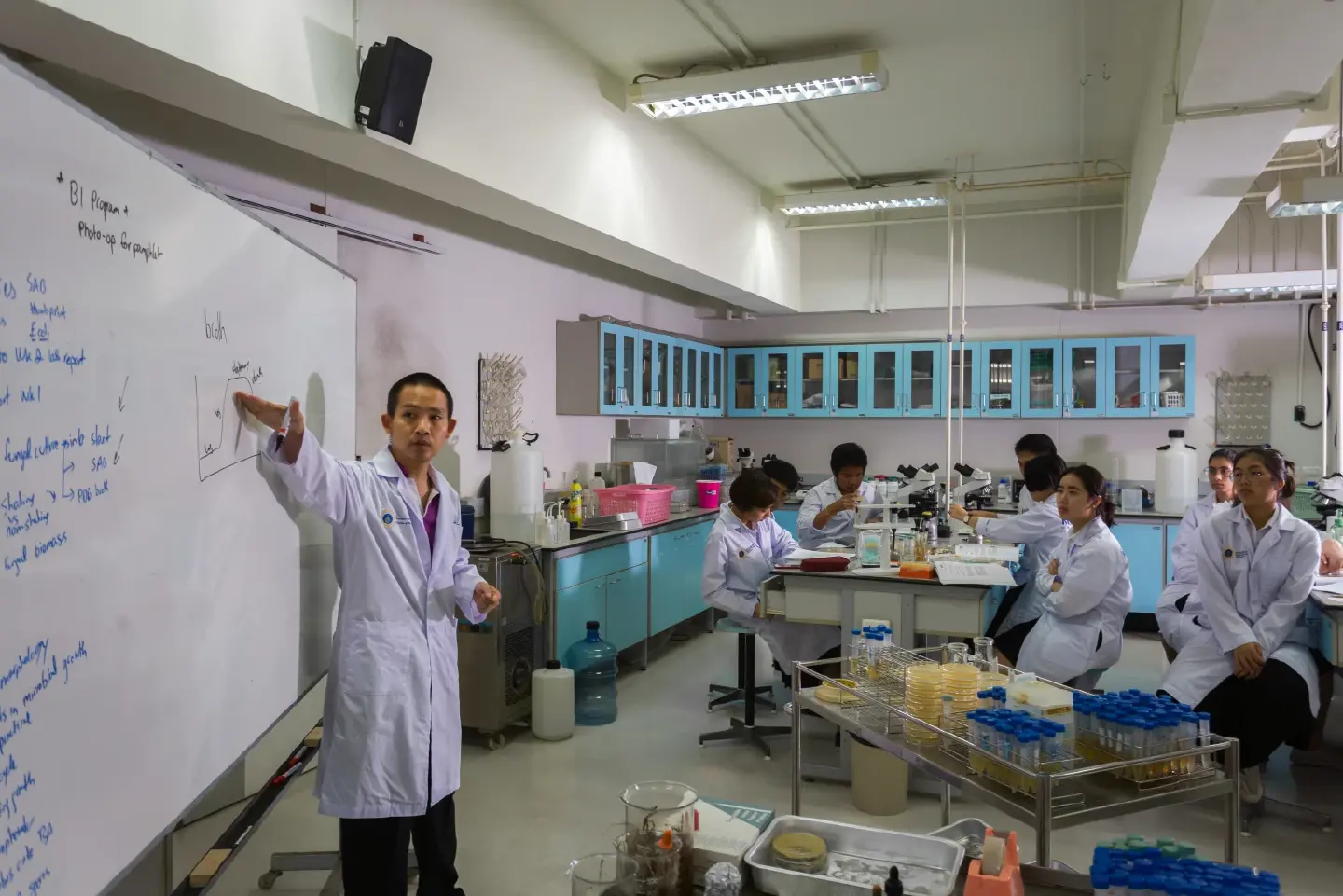 MUIC partners with Faculty of Medicine Siriraj Hospital on biodesign and health innovations
