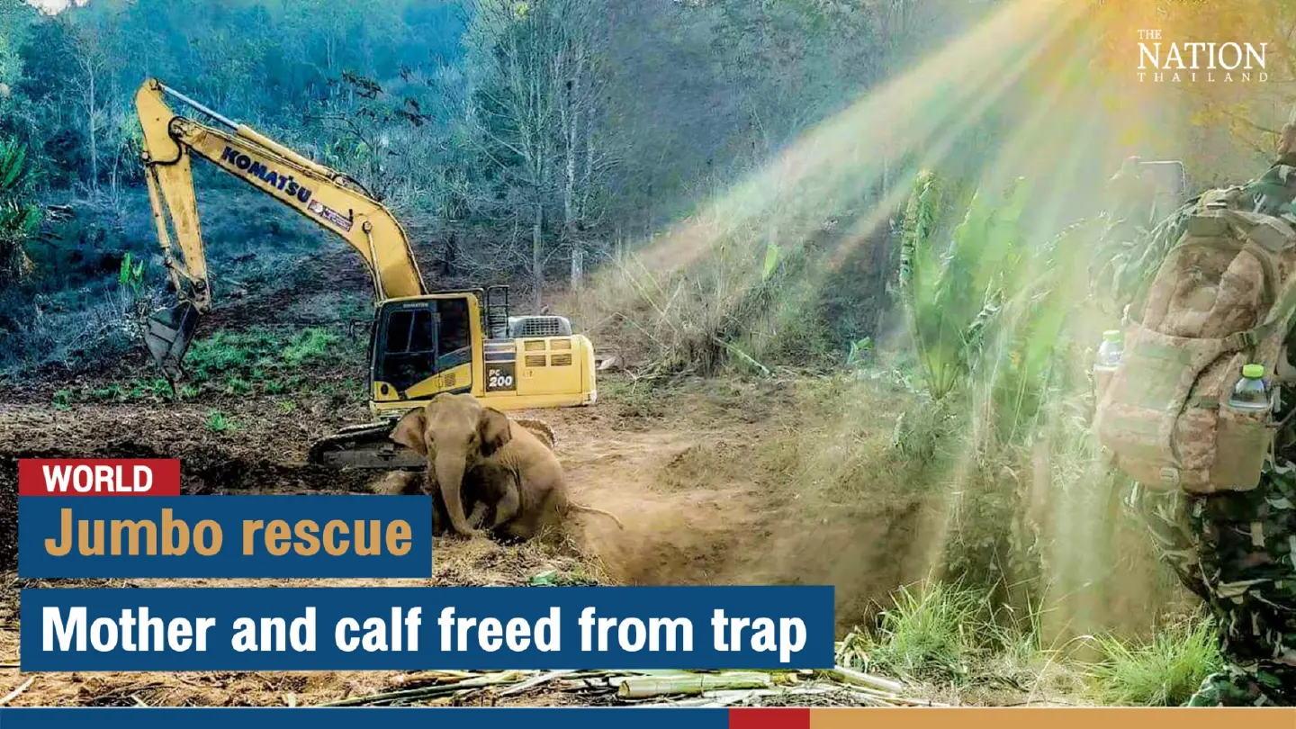 Jumbo rescue: Mother and calf freed from trap