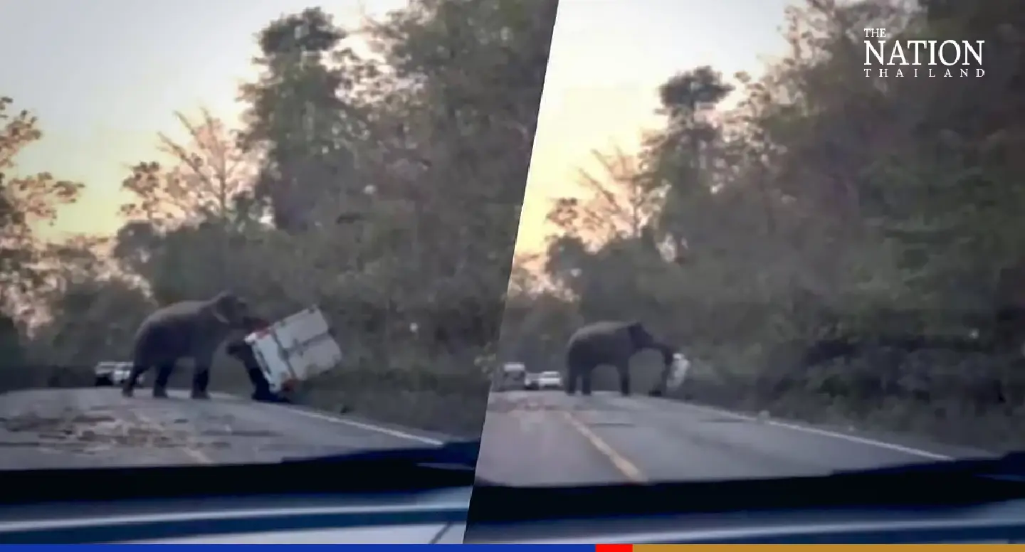 Wild elephant uses trunk to flip passing truck east of Bangkok Wild elephant uses trunk to flip passing truck east of Bangkok