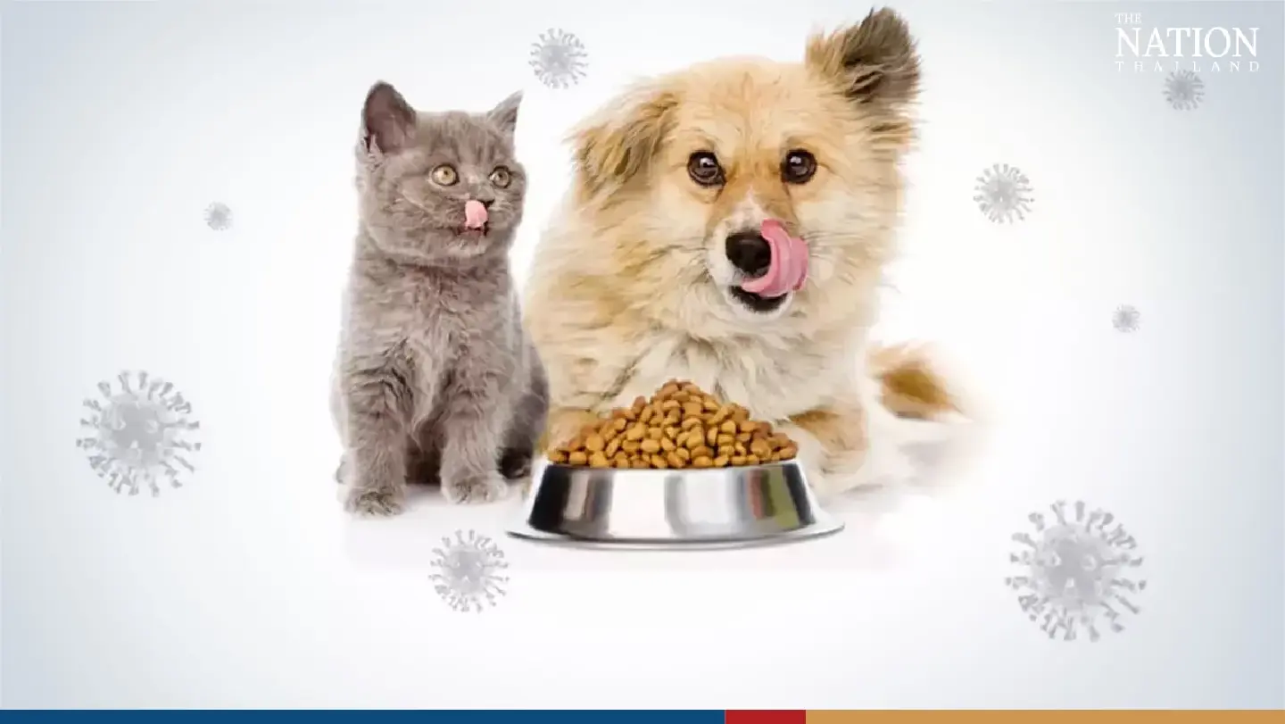 Thailand now world's 4th biggest exporter of pet food after 15% growth last year Thailand now world's 4th biggest exporter of pet food after 15% growth last year