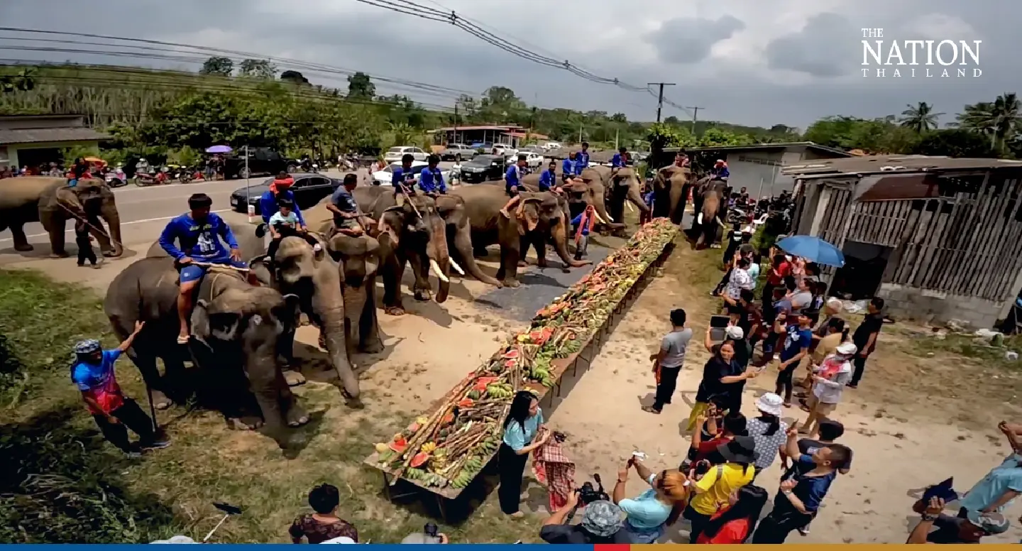 14 elephants get apologies and a fruit feast after unique ceremony in Trang