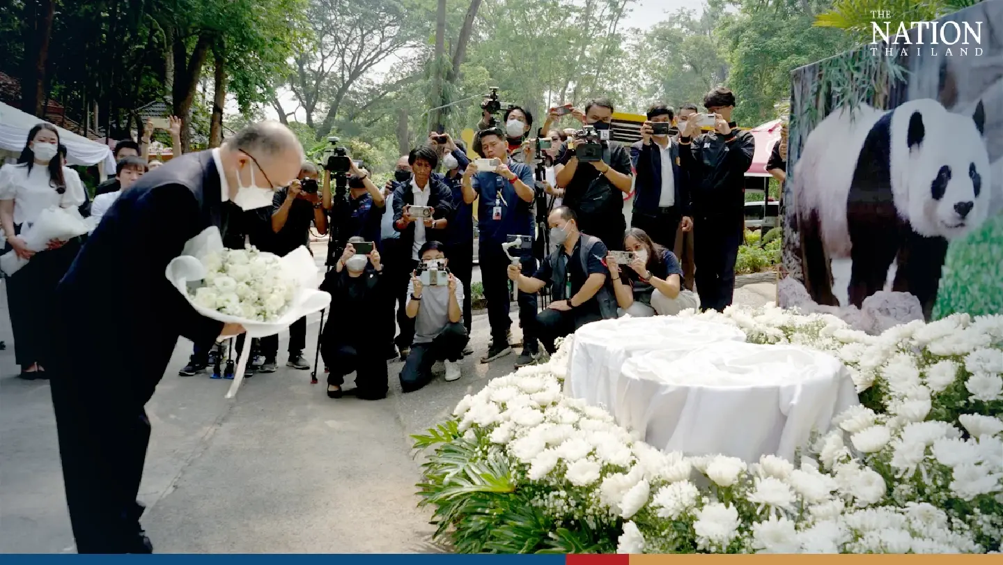Merit-making rites mark 7th day of Chiang Mai Zoo’s beloved giant panda Merit-making rites mark 7th day of Chiang Mai Zoo’s beloved giant panda