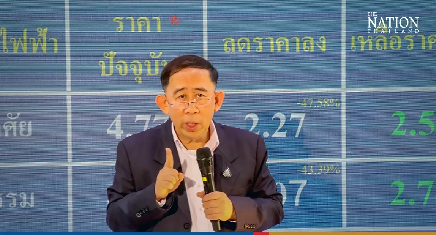 Ruling party pledges to cut electricity prices by almost half Ruling party pledges to cut electricity prices by almost half