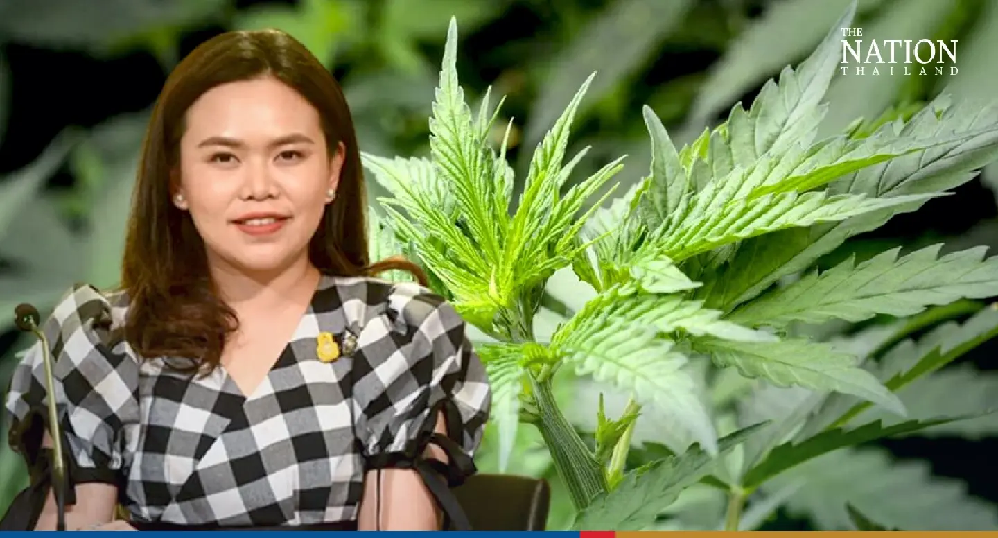 All controls in place for cannabis use in Thailand: govt All controls in place for cannabis use in Thailand: govt