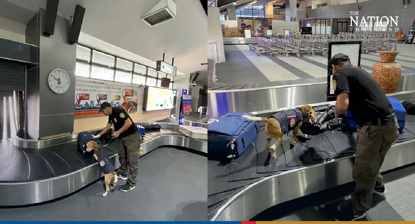 Thailand’s ‘Inspector Beagles’ can be a smuggler’s worst enemy Thailand’s ‘Inspector Beagles’ can be a smuggler’s worst enemy