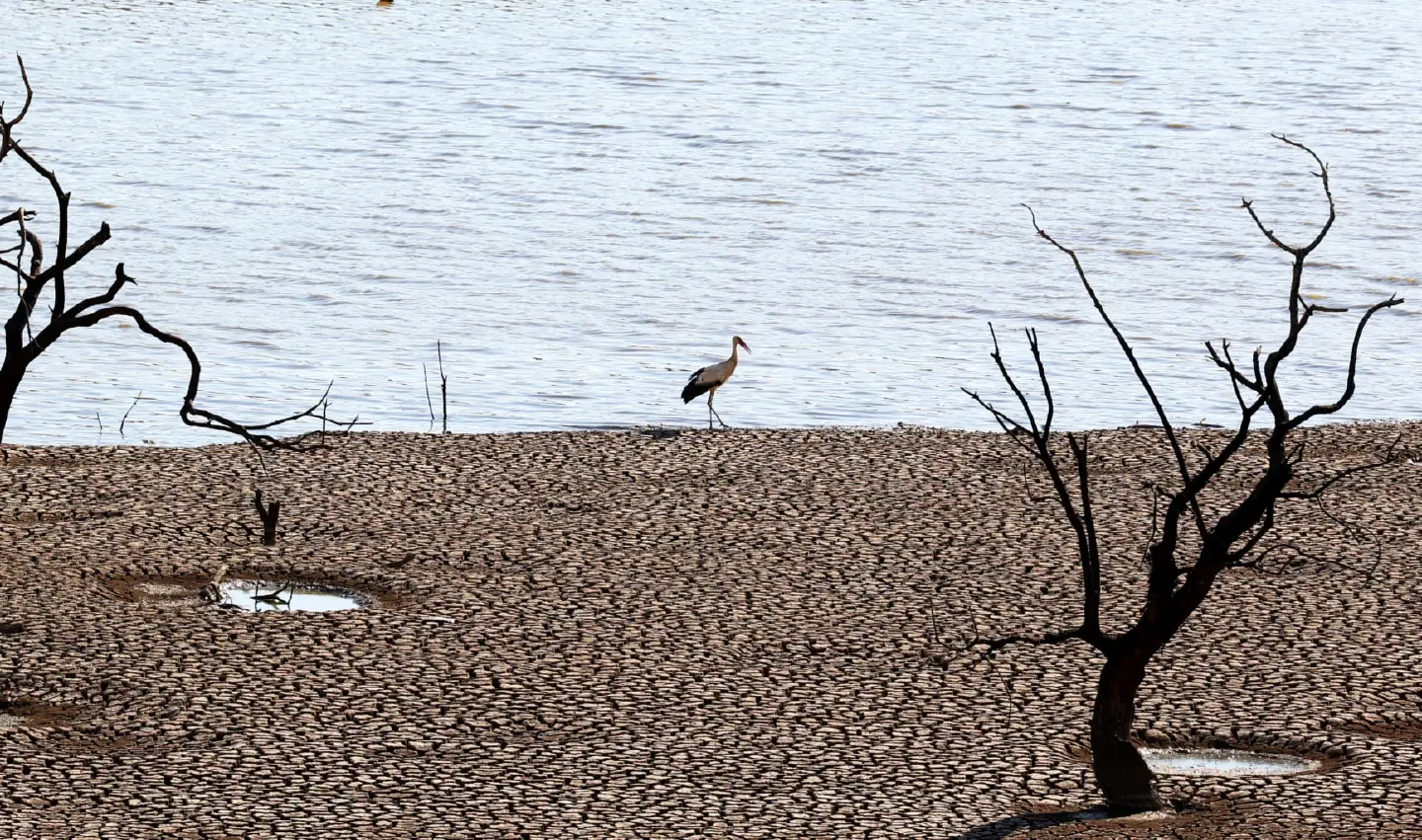 Drought and pollution leaves thousands without drinking water in southern Spain Drought and pollution leaves thousands without drinking water in southern Spain