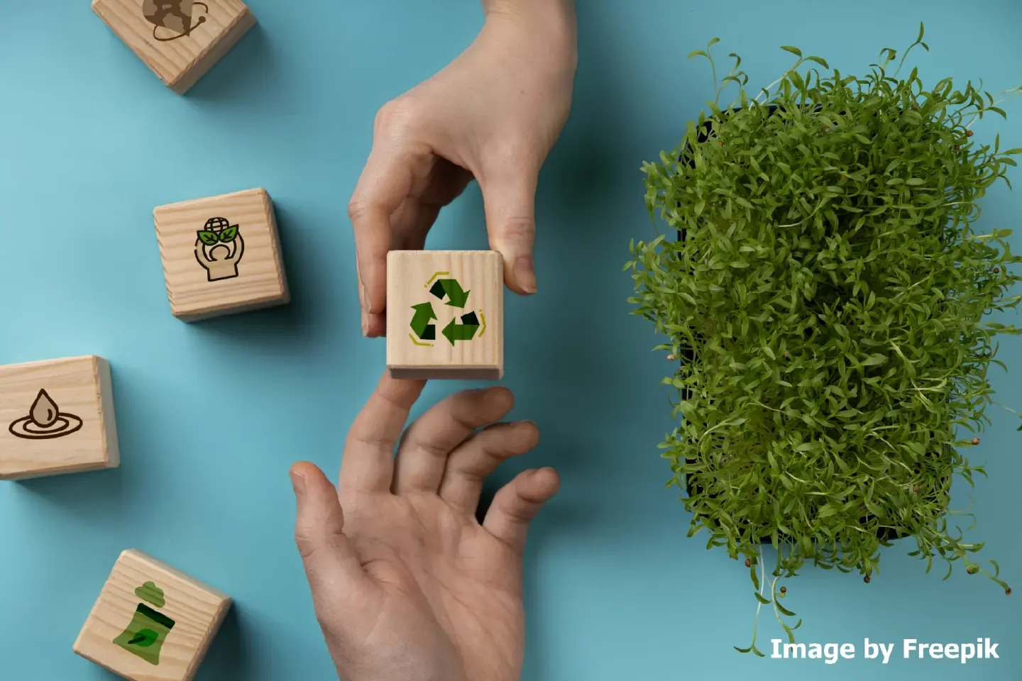 Profit versus Sustainability: Are they mutually exclusive?