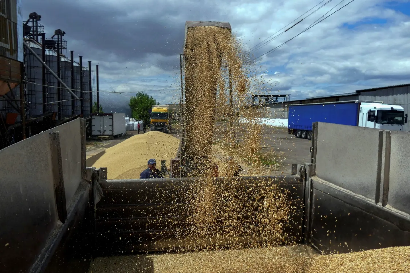 Ukraine seeks re-opening of grain transit via Poland as import bans mount